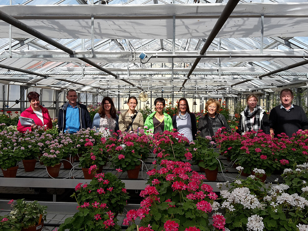 In einem Gewächshaus, dem Sichtungsanbau für Pelargonium-Pflanzen in der Prüfstelle Dachwig, stehen neun Personen hinter blühenden Geranienpflanzen