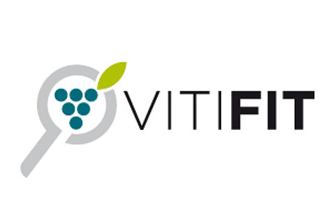 Vitifit-Logo
