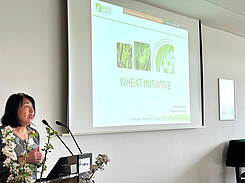 Programmleiterin Teresa Saavedra stellte die Wheat Initiative vor.