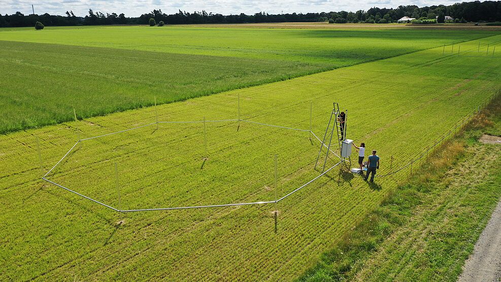 Luftaufnahme der FACE-Anlage am JKI-Institut für Pflanzenbau und Bodenkunde in Braunschweig.