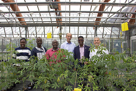 Cassava-Züchter aus Afrika zu Besuch im Cassava-Gewächshaus am JKI in Braunschweig. (© Johannes Kaufmann/JKI)