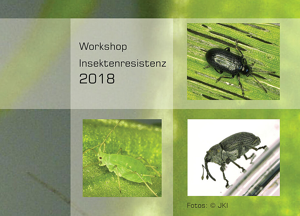 Workshop Insektenresistenz Kulturpflanzen © JKI