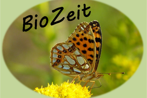 Das Logo des Forschungsprojekts „BioZeit“ verbildlicht am Beispiel des Kleinen Perlmutterfalters den engen Bezug des Schutzes der Biodiversität in Ackerbaugebieten zu Insekten, Pflanzen und weiteren Artengruppen.