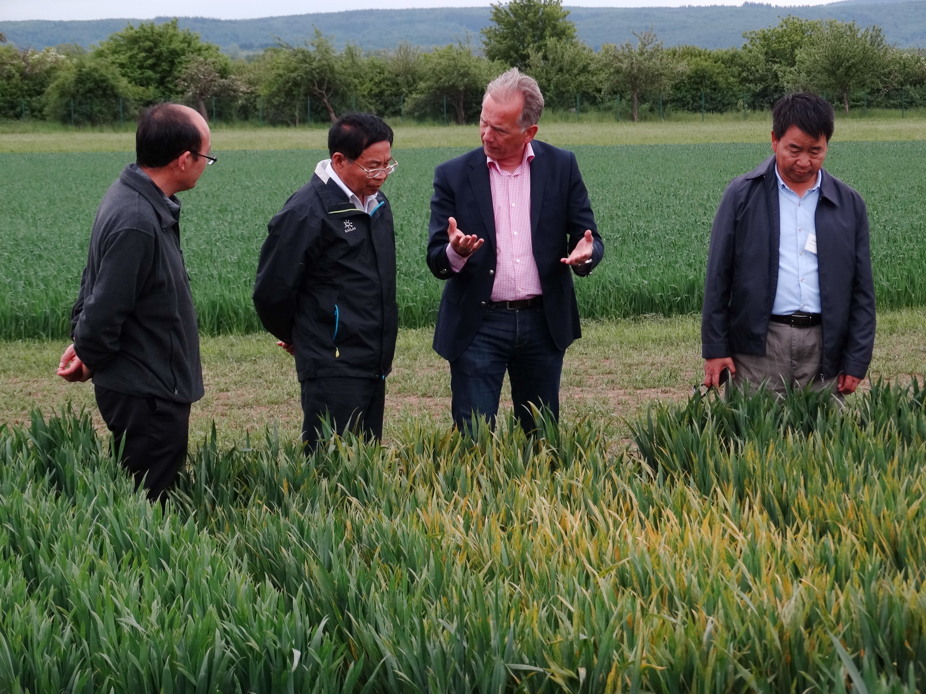 Teilnehmer stehend im Feld zur Veranstaltung in Deutschland mit deutschen und chinesischen Wissenschaftlern zu dem von den Gästen favorisierten Thema „Innovative Tools in Plant Breeding Research“. 