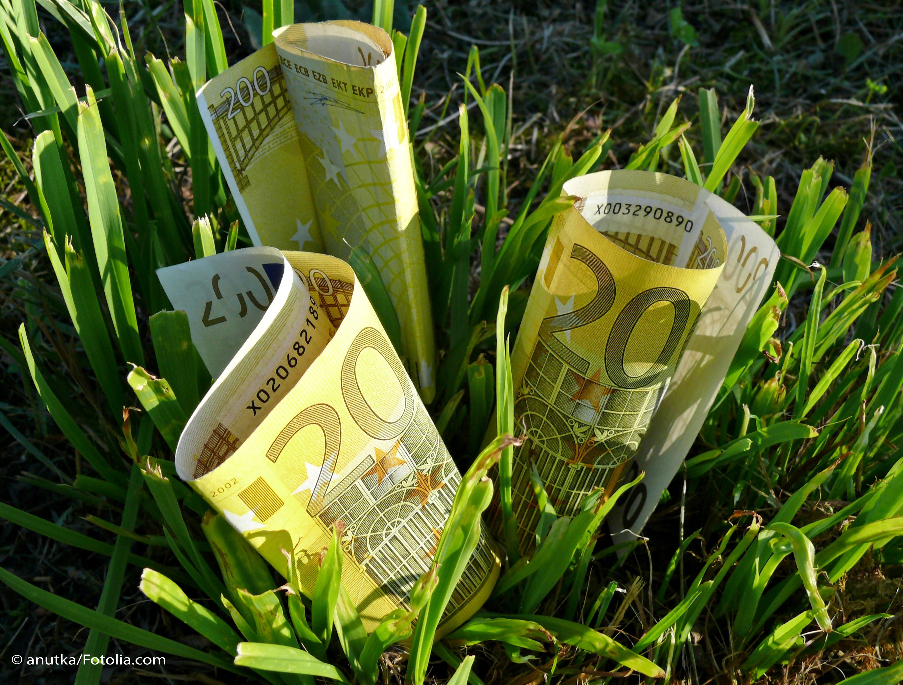 Geldscheine in Gras