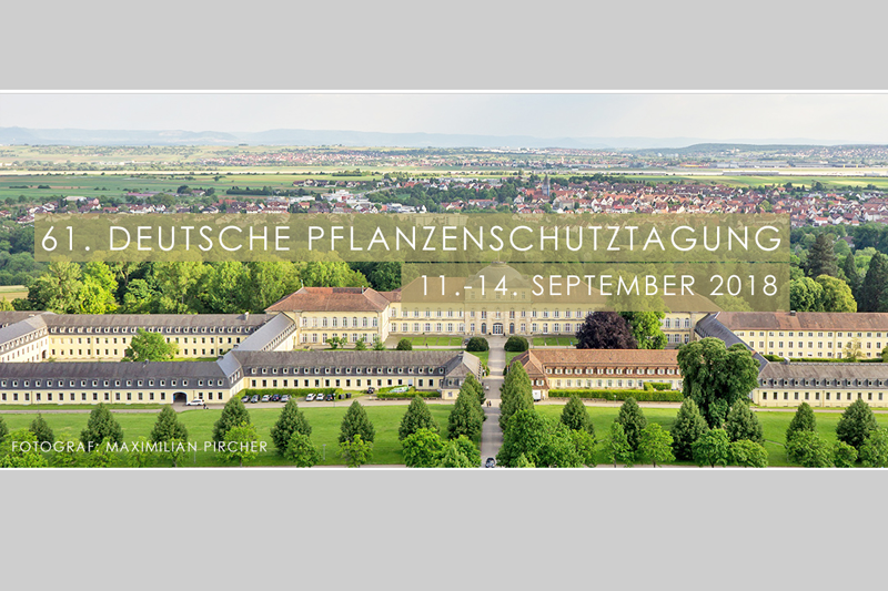 Panoramaaufnahme Universität Hohenheim