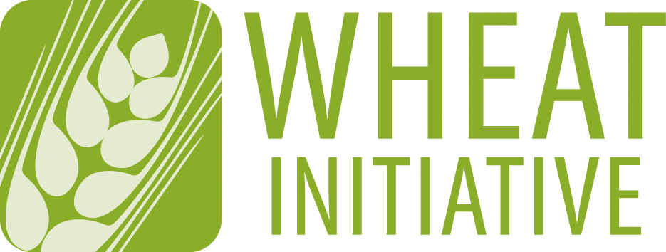 Logo Wheat Initiative