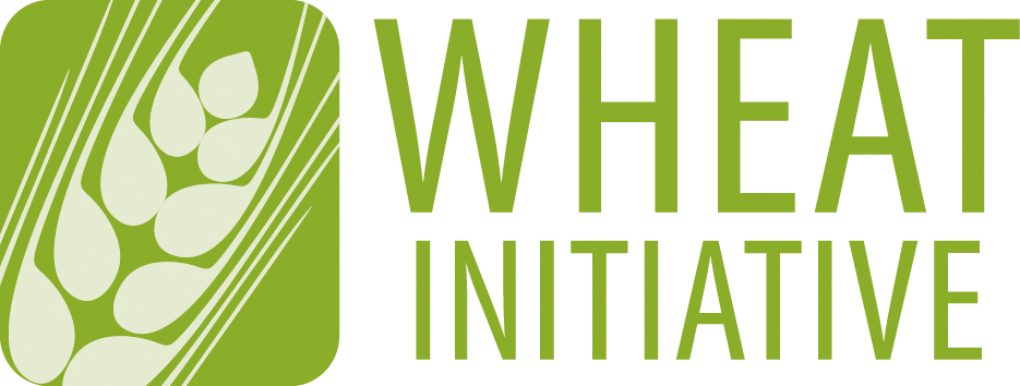 
	Logo Wheat Initiative
