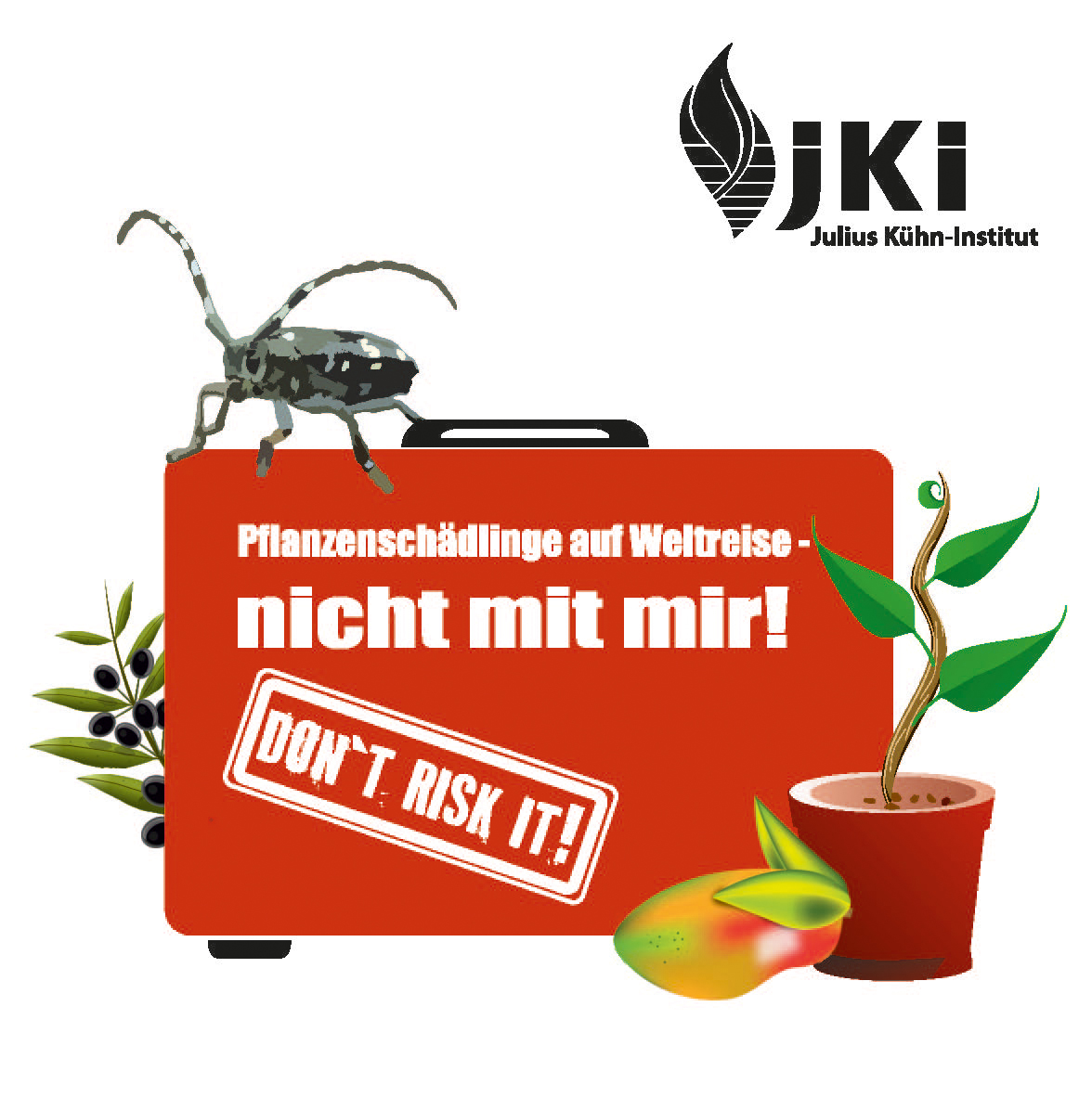 Das JKI warnt, unbestellte Pflanzensamen nicht aussäen