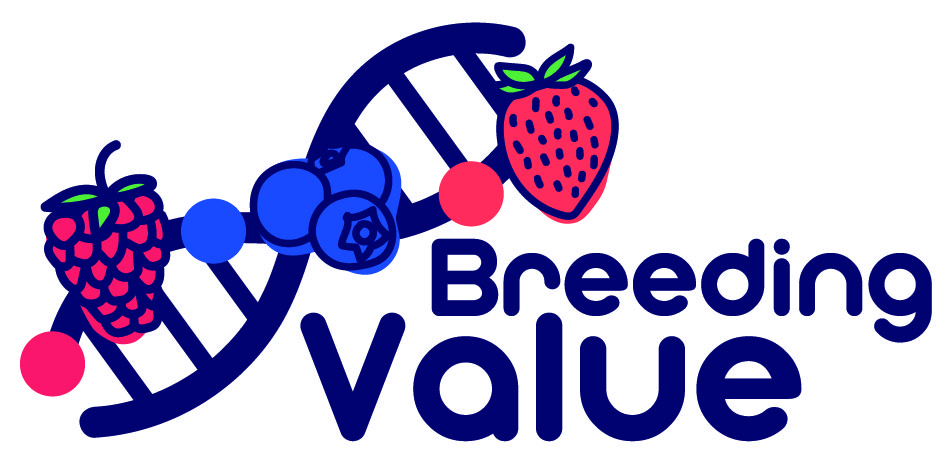 Logo des EU-Projekts BreedingValue Start 2021