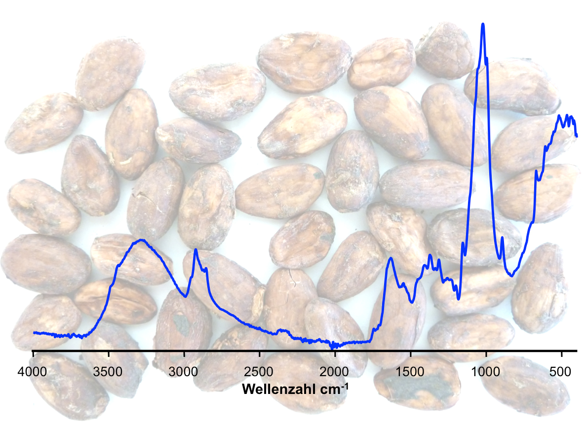 Rohkakaobohnen und ein Nainfrarotsprektrum 