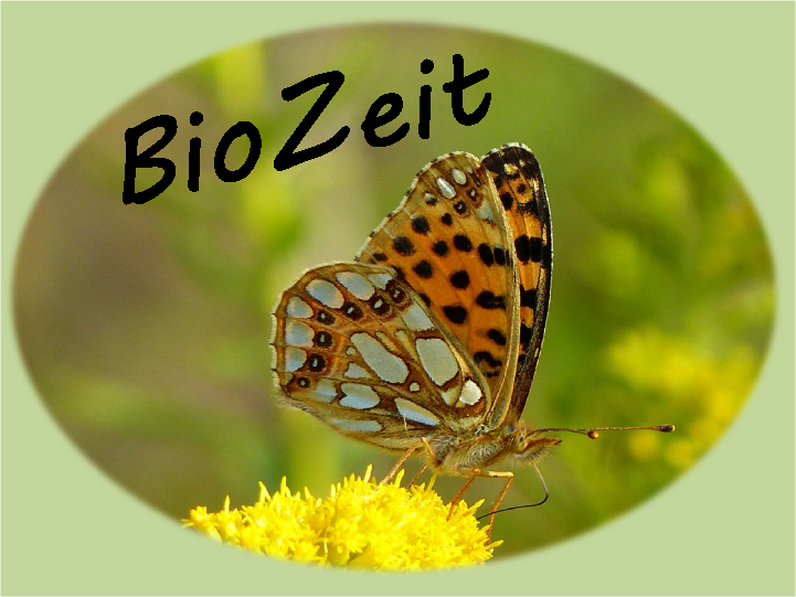 Das Logo des Forschungsprojekts „BioZeit“ verbildlicht am Beispiel des Kleinen Perlmutterfalters den engen Bezug des Schutzes der Biodiversität in Ackerbaugebieten zu Insekten, Pflanzen und weiteren Artengruppen.