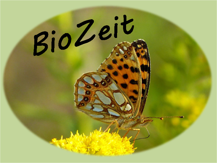 
	Das Logo des Forschungsprojekts „BioZeit“ verbildlicht am Beispiel des Kleinen Perlmutterfalters den engen Bezug des Schutzes der Biodiversität in Ackerbaugebieten zu Insekten, Pflanzen und weiteren Artengruppen.
