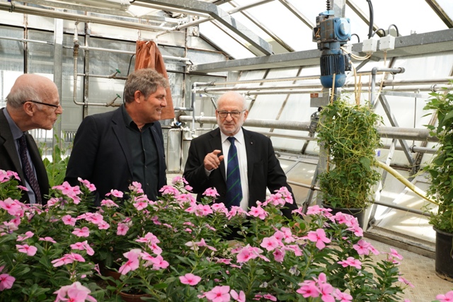 
	Prof. Hans Hummel (Uni Gießen), Dr. Jürgen Gross (JKI/OW) und Prof. Dr. John Pickett beim Gewächshausrundgang
