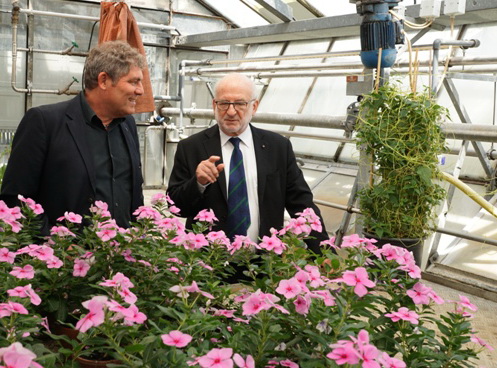 Wegbereiter der Chemischen Ökologie Prof. Dr. John Pickett (Cardiff University, rechts im Bild) hält Gastvortrag am JKI Dossenheim bei Dr. Jürgen Gross (links)