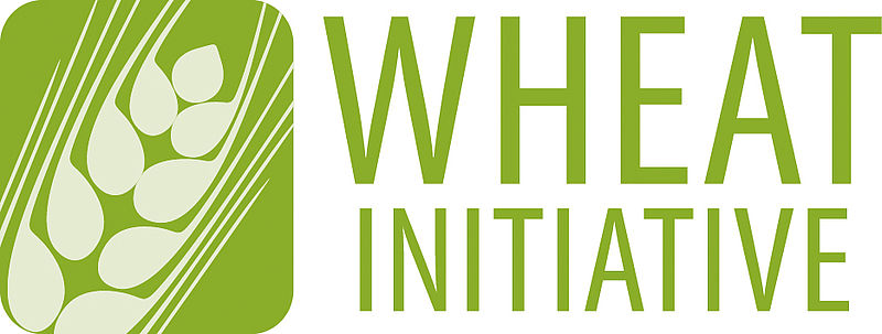 
	Logo der Wheat Initiative Ähre in gruen
