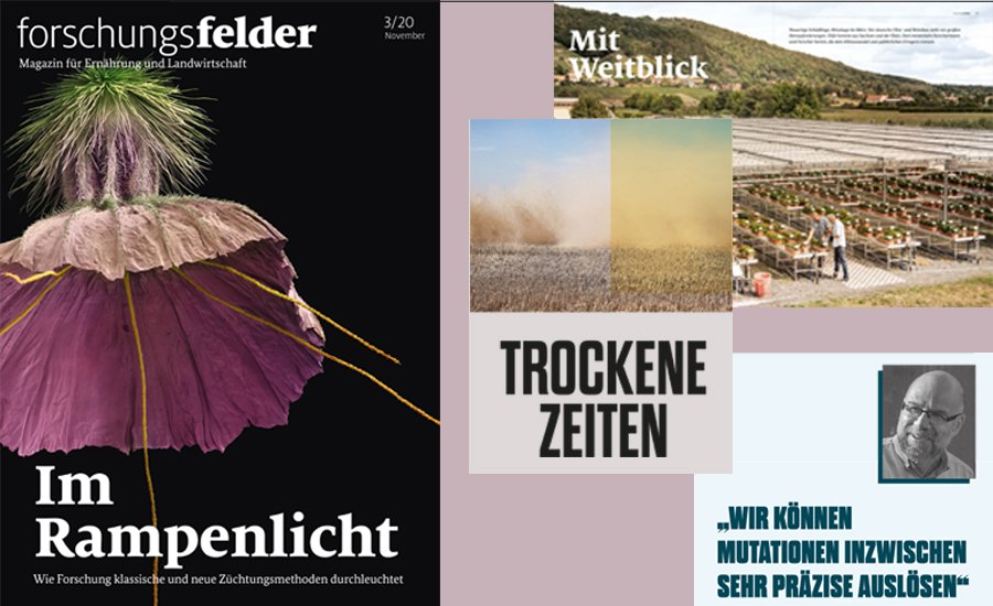 
	Collage: forschungsfelder 3/20. Im Rampenlicht

