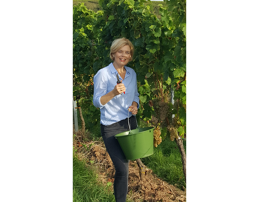 
	Bundeslandwirtschaftsministerin Julia Klöckner in JKI-Rebanlage in Siebeldingen an einem Calardis-Blanc-Rebstock. © S. Hüther/JKI
