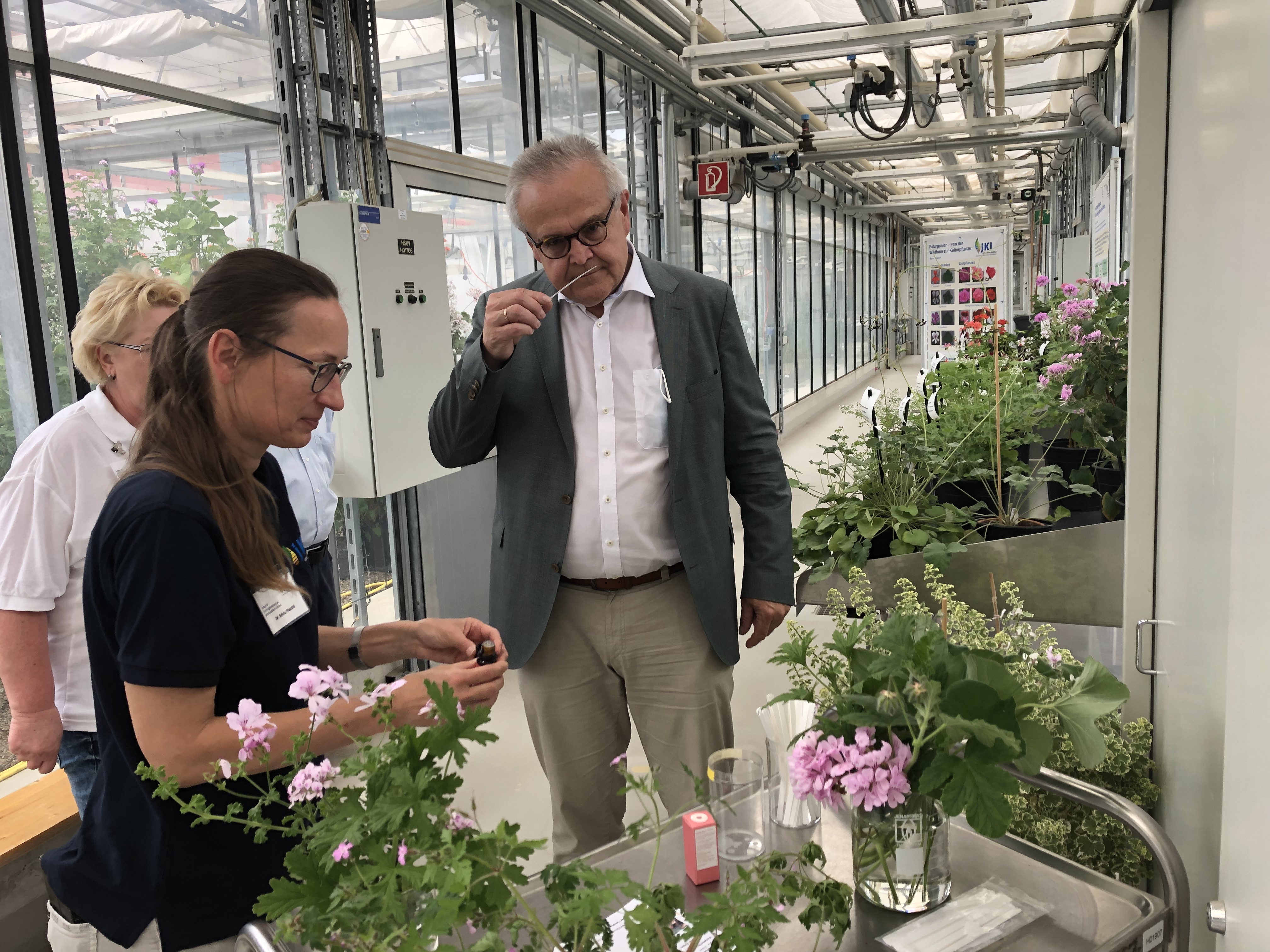 Der Präsident des Bundessortenamtes Elmar Pfülb (r.) informiert sich bei Dr. Sylvia Plaschil übSer die JKI-ammlung im Teilnetzwerk Pelargonie. er riecht dabei an einem Duftstreiefn mit Geranienöl.. 