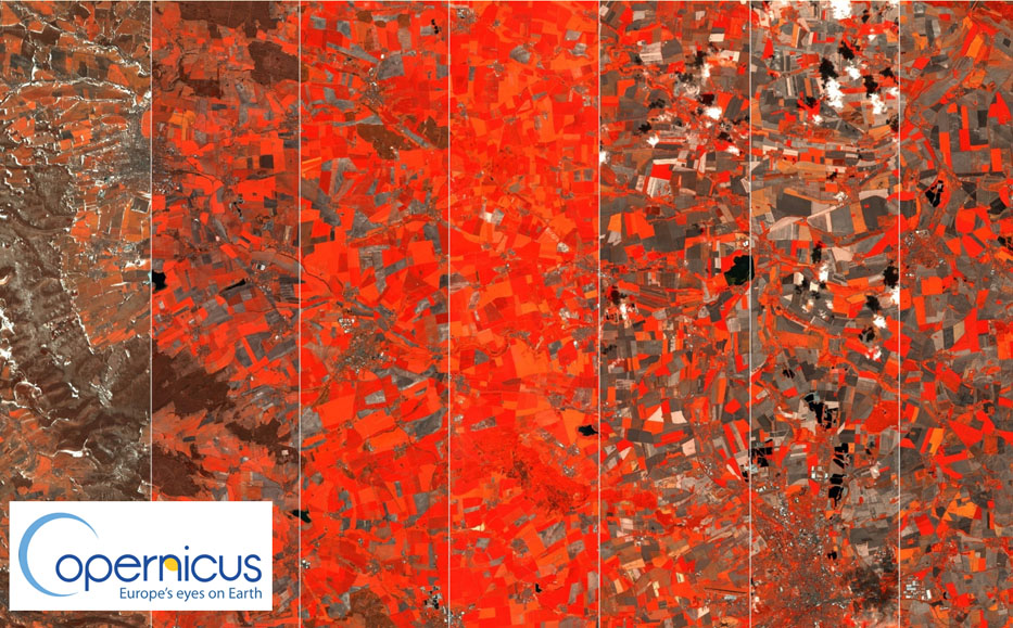 
	Das Thüringer Becken im Jahresverlauf 2021 / Sentinel-2 Aufnahmen in Falschfarbendarstellung, RGB-Kanäle 8-5-4/ v. l. n. r.: 3. Februar, 30. März, 9. Mai, 18. Juni, 18. Juli, 14. August, 3. September, 8. September. ©JKI
