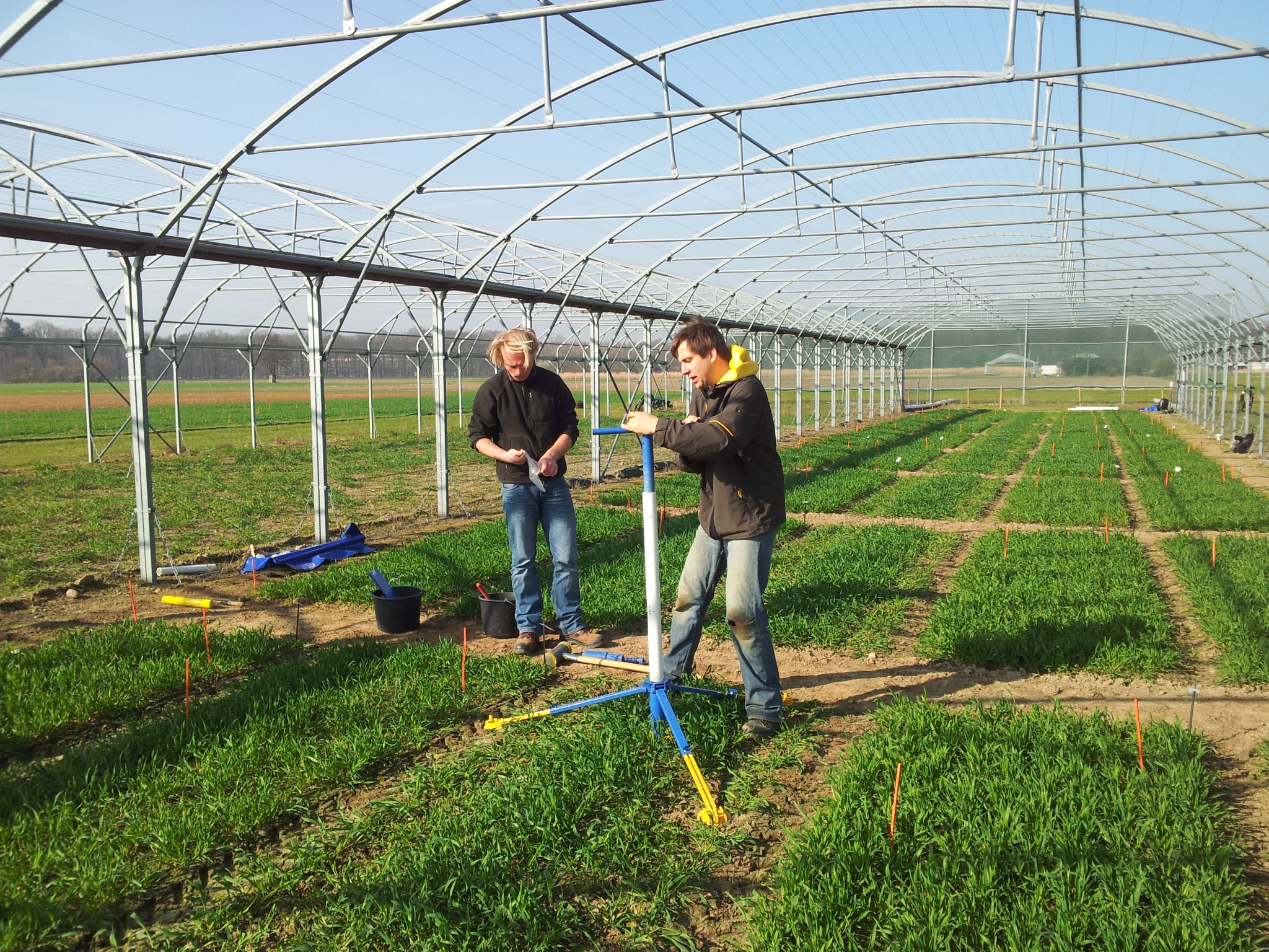 Einbau einer Bodenfeuchtesonden für einen Shelter-Versuch zu Trockenstresstoleranz bei Getreide -  diese generiert wertvolle Daten. Das Konsortium FAIRagro hat sich zum Ziel gesetzt, den Zugriff auf Forschungsdaten in der Agrosystemforschung zu vereinfachen. ©Schittenhelm/JKI