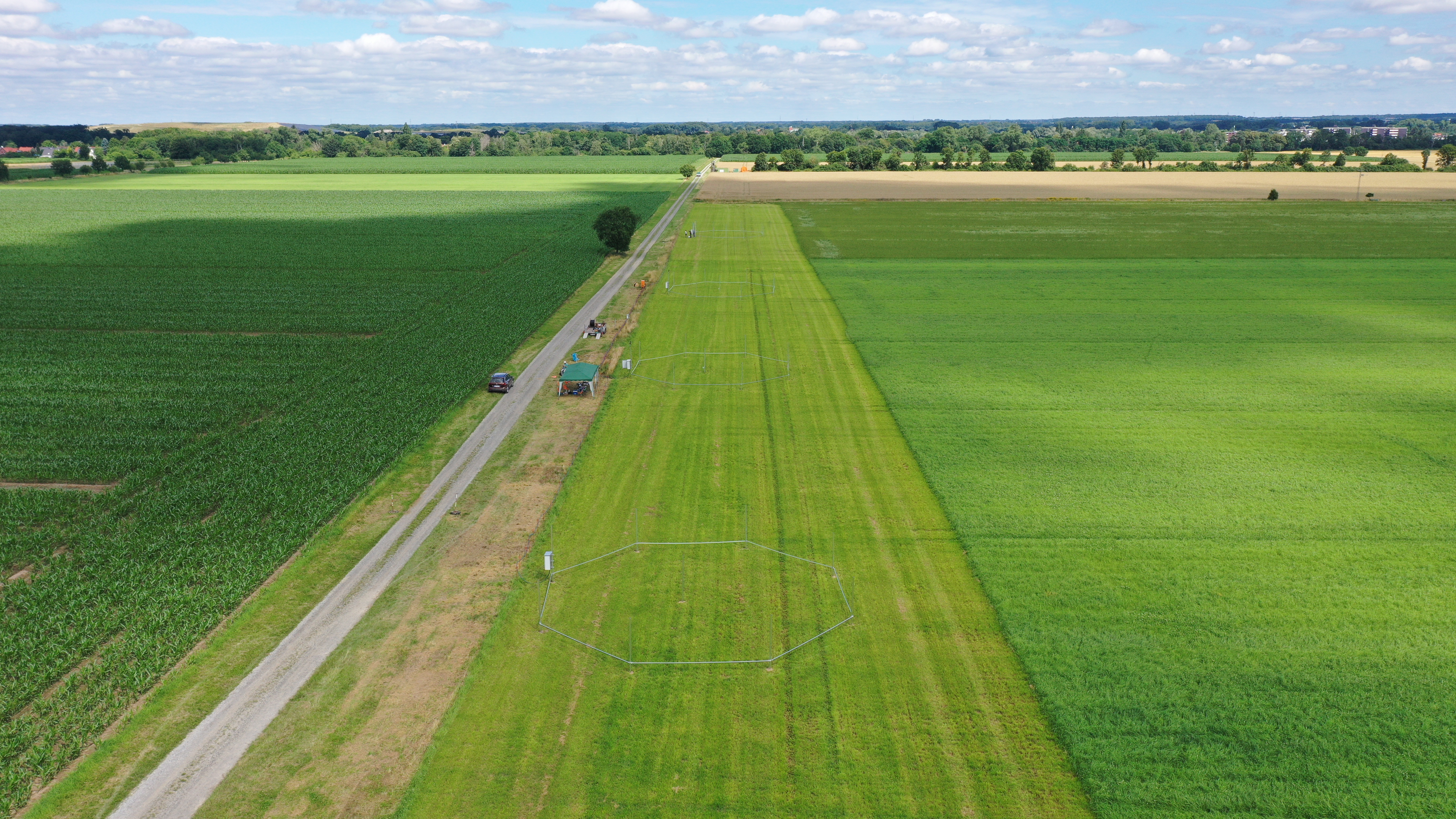 Blick aus der Luft auf grüne Felder, die längs durchschnitten werden von einem grauen Feldweg. Auf dem hellgrünen Streifen in der Mitte des Bildes sind graue Achtecke zu erkennen, bestehend aus den Rohren der FACE-Anlage, durch die Kohlenstoffdioxid geleitet werden kann.