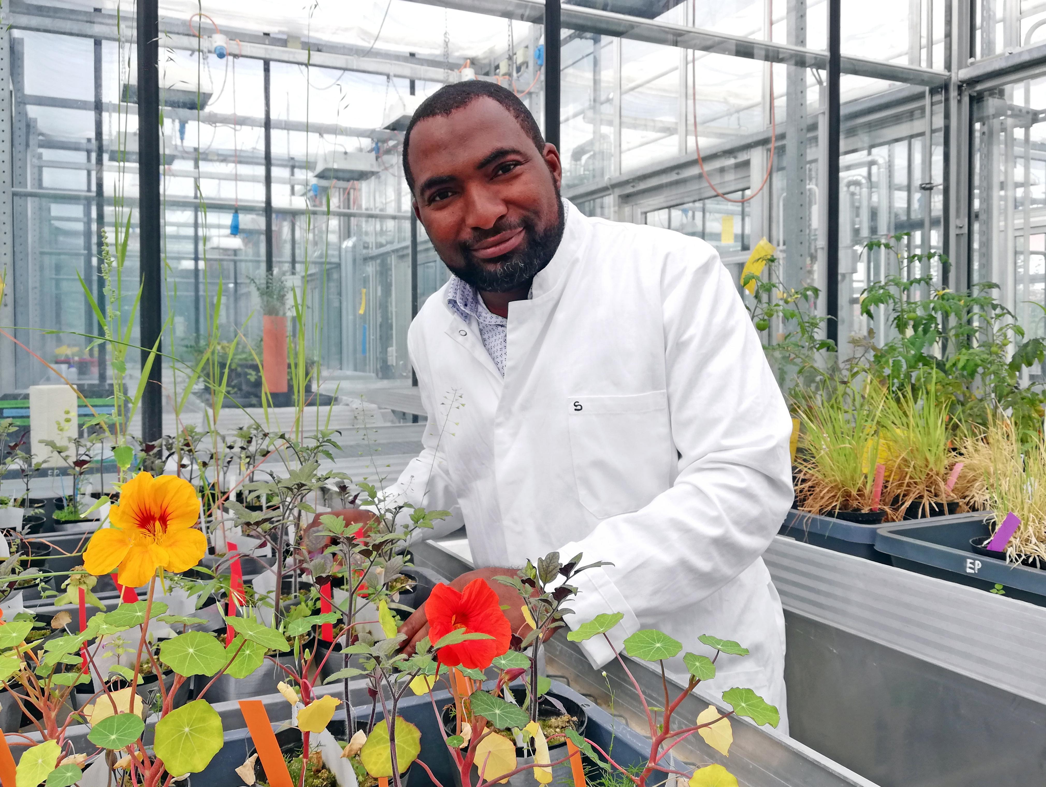 Dr. Sulaiman Abdulsalam - hier noch bei seinen Vorversuchen mit Kapuzinerkresse und Tomate.