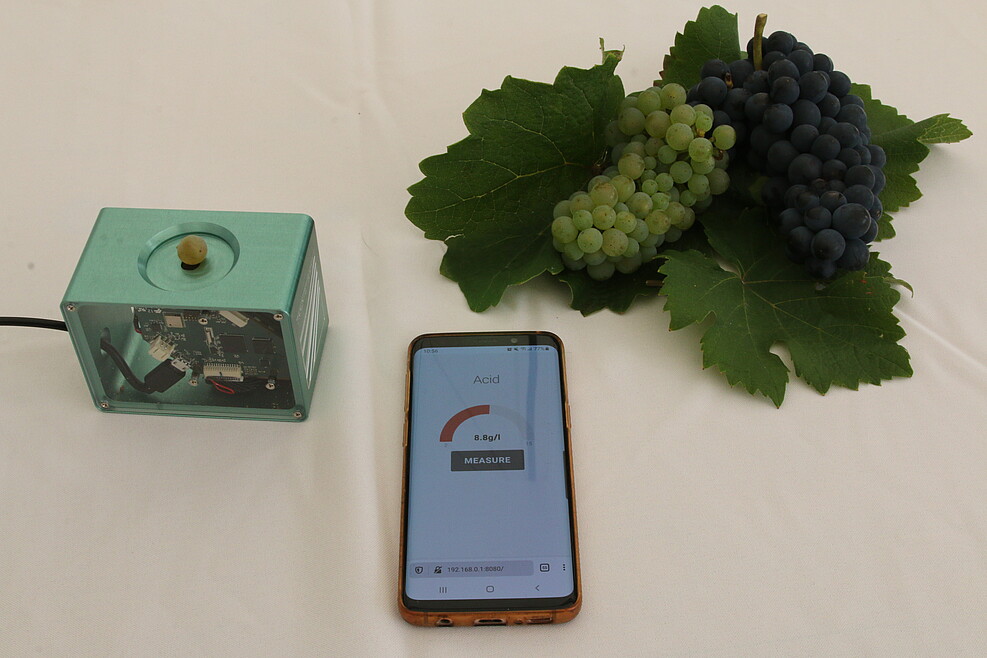 ...auch der Smartphone-Beerenscanner wurde den VIP-Gästen vorgestellt (c) Kicherer/JKI