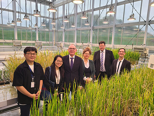 A JKI delegation, accompanied by hosts from the NAS, visits the NICS stress tolerance experiment. From left: Dr Hyundai Han, Dr Kyongmi Chon (both from the NAS), Dr Johannes Jehle, Corinna Harms, Andreas Stahl and Jens Pistorius (from the JKI). © Kyongmi Chon/NAS