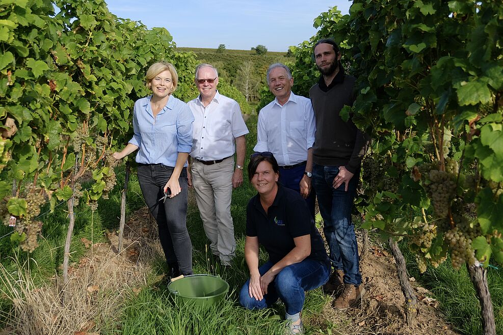 Gruppenbild in JKI-Rebanlage mit Ministerin v.l.: Julia Klöckner, Prof. Dr. Reinhard Töpfer (Leiter JKI-Rebenzüchtung), JKI-Präsident Prof. Dr. Frank Ordon, JKI-Rebenzüchter Dr. Oliver Trapp und Mitarbeiterin Silke Hüther (vorn).© BMEL