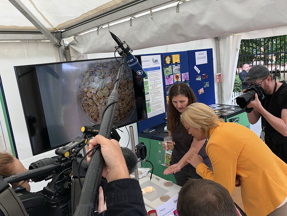 
	Ministerin informiert sich über das BeetleSoundTube-Projekt zur biolog. Bekämpfung von Vorratsschädlingen © S.Hahn/JKI
