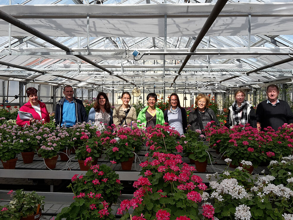 In einem Gewächshaus, dem Sichtungsanbau für Pelargonium-Pflanzen in der Prüfstelle Dachwig, stehen neun Personen hinter blühenden Geranienpflanzen