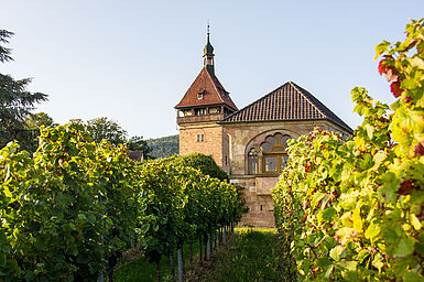 Gebäudeansicht Geilweilerhof des JKI-Standorts Siebeldingen. Gebäudeansicht des JKI-Standorts Geilweilerhof in Siebeldingen.