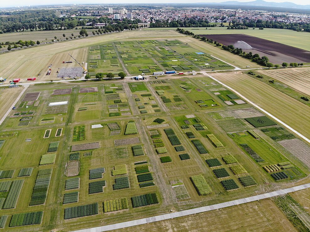 Luftbild der Versuchsfläche in Kirschgartshausen. © 2022 DLG e.V.