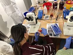 An drei Stationen konnten bis zu 21 Personen experimentieren. Foto: Stefanie Hahn/JKI