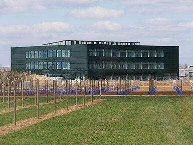 Außenansicht des Institutsgebäudes Dossenheim. Außenansicht des neuen Institutsgebäude (errichtet 2018) in Dossenheim.