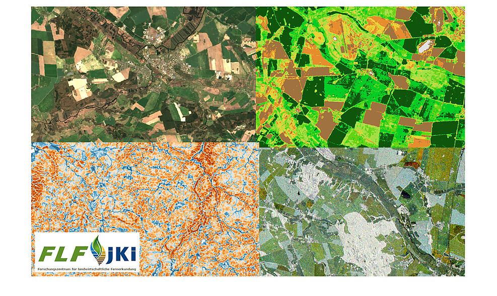 Satellitenbild-Collage vom Untersuchungsgebiet Demmin. ©Holger Lilienthal/JKI