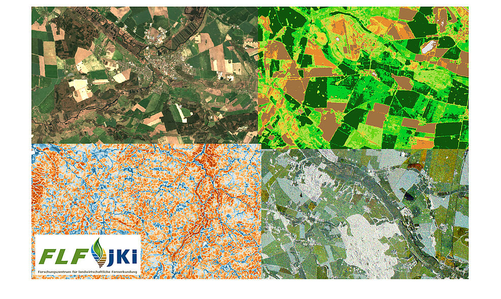 
	Satellitenbild-Collage vom Untersuchungsgebiet Demmin. ©Holger Lilienthal/JKI
