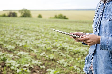 (© Freepik Company S.L. ) Im rechten Bildrand steht eine Person, ihr Gesicht ist nicht sichtbar. Sie hält ein Tablet in beiden Händen. Im Hintergrund ist ein Feld mit grünen Pflanzen zu erkennen.