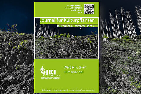 „Erosion – Zwischenraum“ - Coverbild des Themenheftes „Waldschutz im Klimawandel“ (© Lars Wiedemann, Projekt NeuHarz)