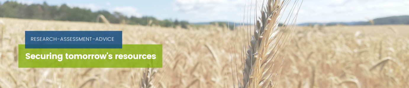 Decorative graphic. A wheat field in the background. The triad "Research, evaluate, advise" and the motto "Securing the basis of life for tomorrow" are incorporated as text.