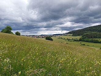 Grünland in Baden-Württemberg, das zur Region Süd-West im MuD Glaktiv zählt. © E. Friedrich/LAZ-BW