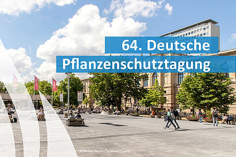© Markus Hörster/TU Braunschweig