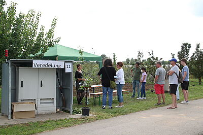 Besonders bei Hobbygärtnern beliebt: die Station, in der es um Veredlung von Reisern und Obstbaumschnitt ging. © G. Leefken/JKI