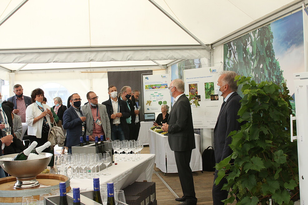 JKI-Präsident Ordon (r.) und Leiter der Rebezüchtung Prof. Töpfer begrüßen die Delegation der EU-Agrarminister im JKI-Pavillon (c) Kicherer/JKI