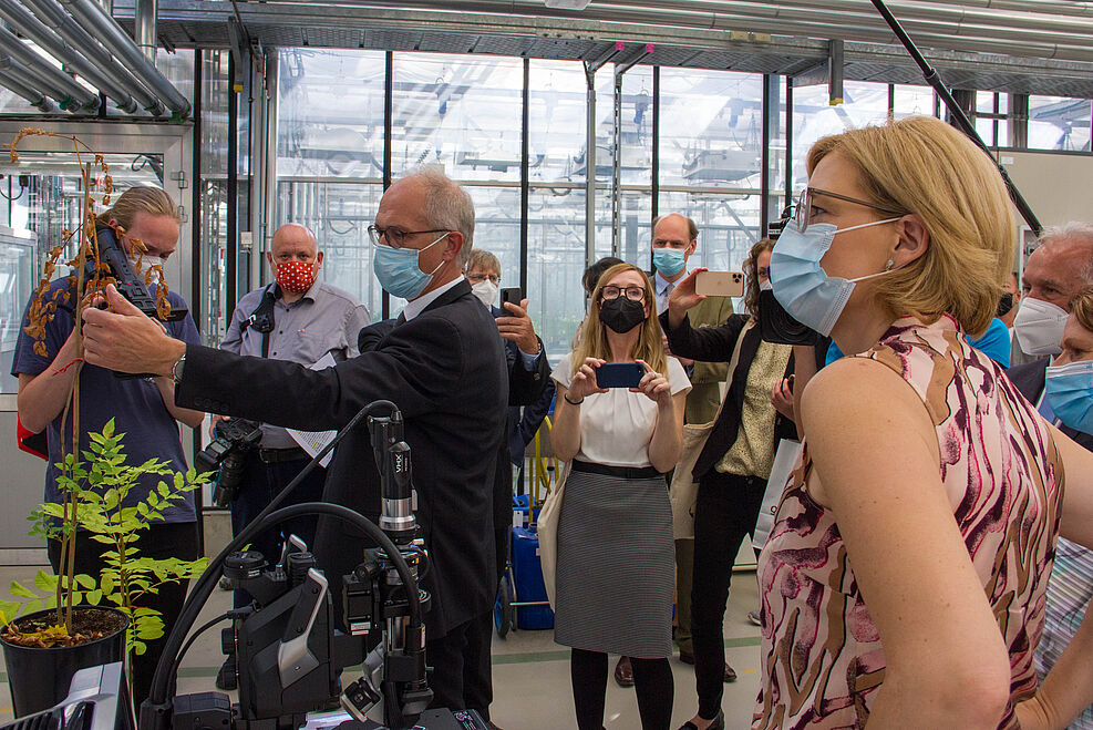 Karl-Heinz Berendes (Mitte) vom JKI-Institut für Pflanzenschutz in Gartenbau und Forst erklärt Bundeslandwirtschaftsministerin Julia Klöckner bei deren Besuch am JKI in Quedlinburg die Arbeit seines Instituts mit forstpathogenen Pilzen. © J.Kaufmann/JKI