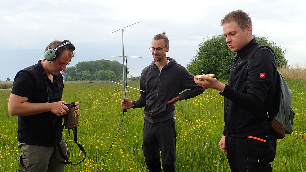 v.l. Henri Greil, Marc Hoffmann und Silvio Erler vom JKI versuchen Mosshummeln mittels Peilsendern nachzuverfolgen. © N. Feige/NABU