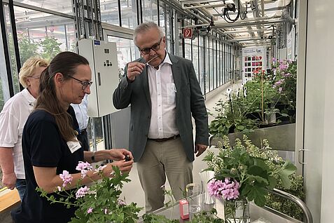 Der Präsident des Bundessortenamtes Elmar Pfülb (r.) informiert sich bei Dr. Sylvia Plaschil übSer die JKI-ammlung im Teilnetzwerk Pelargonie. er riecht dabei an einem Duftstreiefn mit Geranienöl.. 