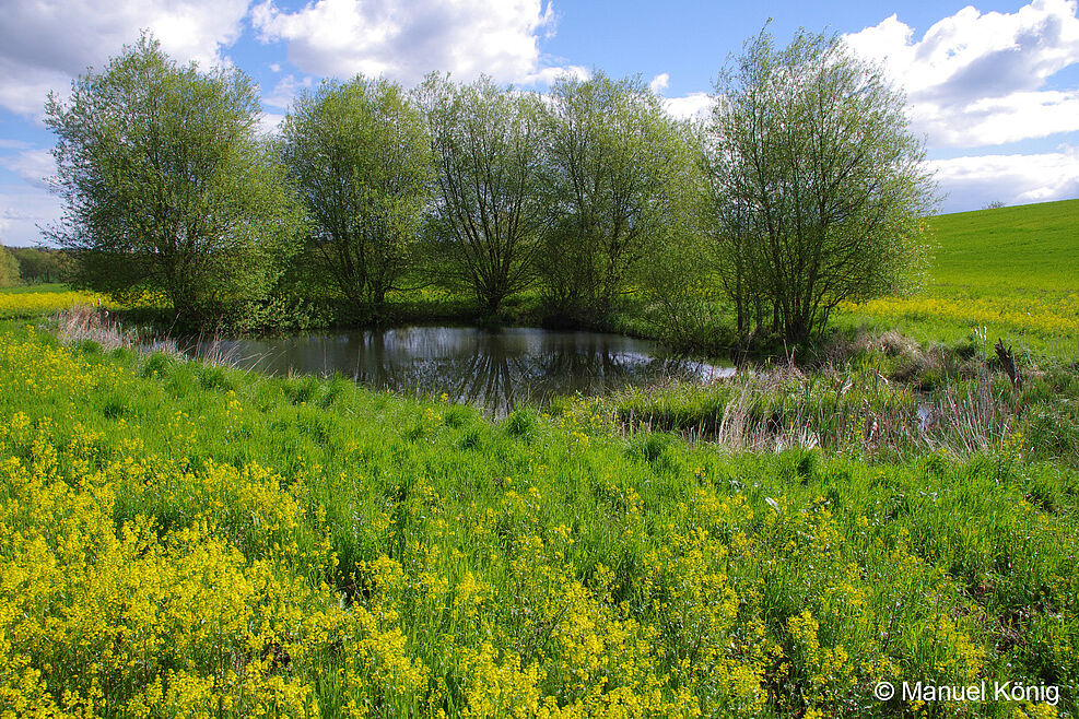 Kleingewässer (Soll) in der Agrarlandschaft, Beispiel einer Kleinstruktur © M. König/JKI