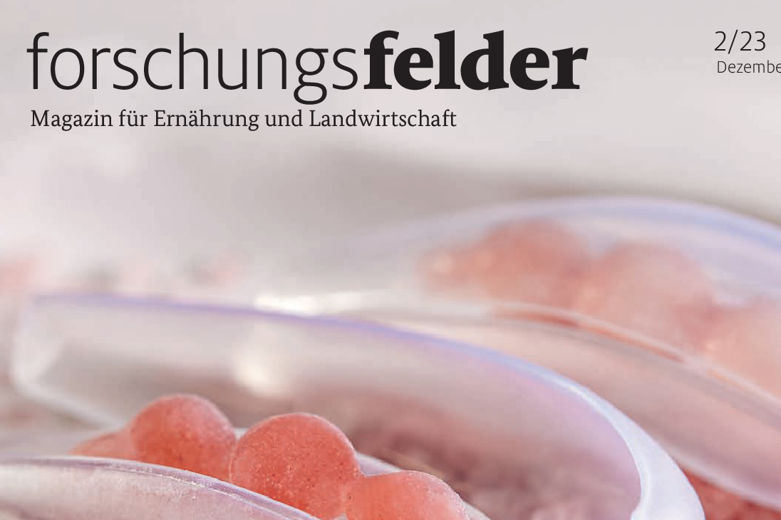 Titelbild Foschungsfelder. Echte Perlen